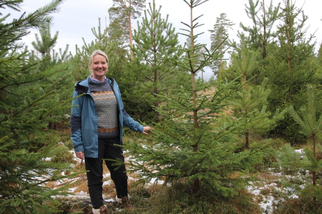 HOGGER TRE SELV: Hilde Nyborg Fischer hos Løiten Almenning er blant de som har som juletradisjon å hogge sitt eget juletre.