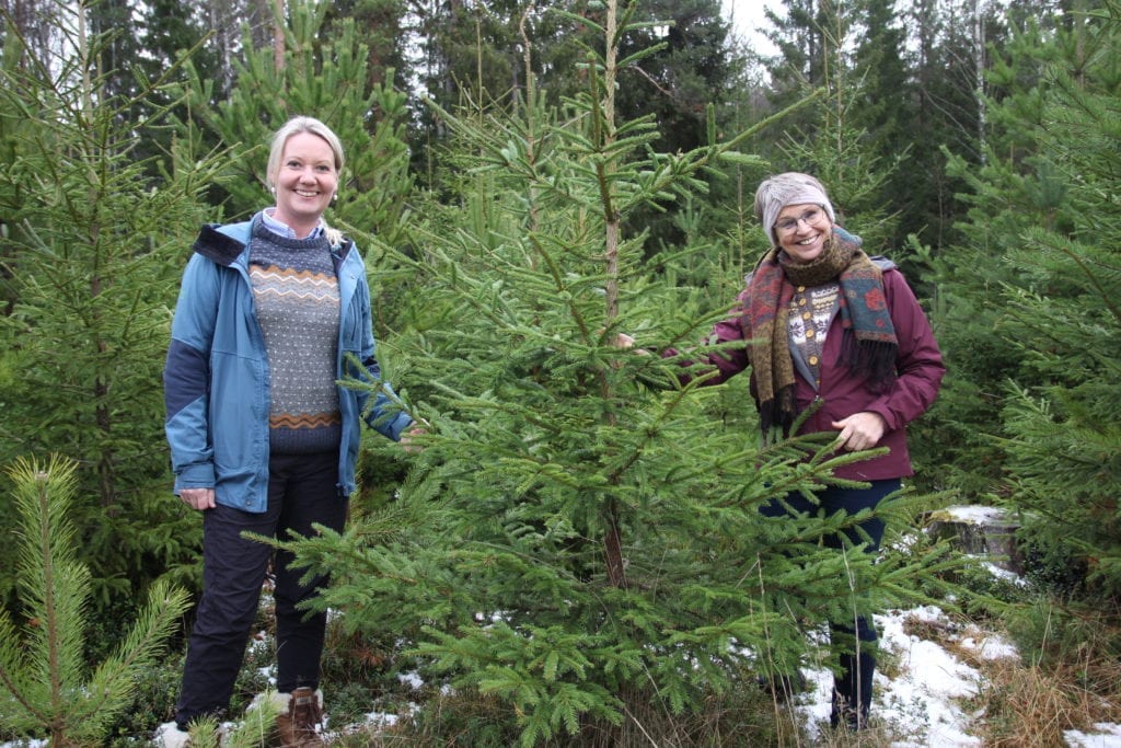 TRADISJON: Å hogge sitt eget juletre. Hilde Nyborg Fischer og Frøydis Kjøs.