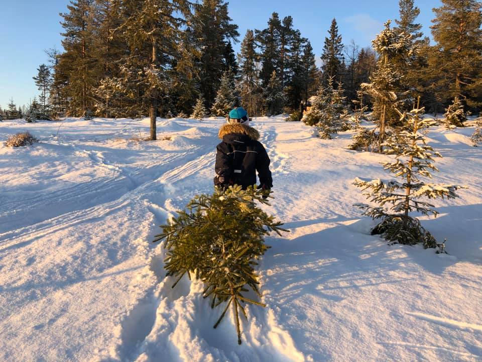 HJEM TIL JUL: Slik så det ut på juletrehogst i fjor.