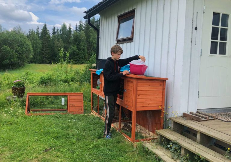 Kristian August Adelrose 2