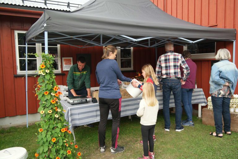 RINGNES GÅRD: De åpne gårdene i Løten hadde i helgen mye besøk. FOTO: Marit Amundsen