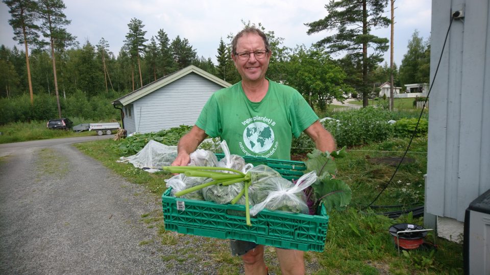 FRA EGEN HAGE: Thomas Cottis høster økologiske grønnsaker fra sin egen kjøkkenhage, og selger blant annet via hengeren i Bjørnstadkrysset. Foto: Privat.