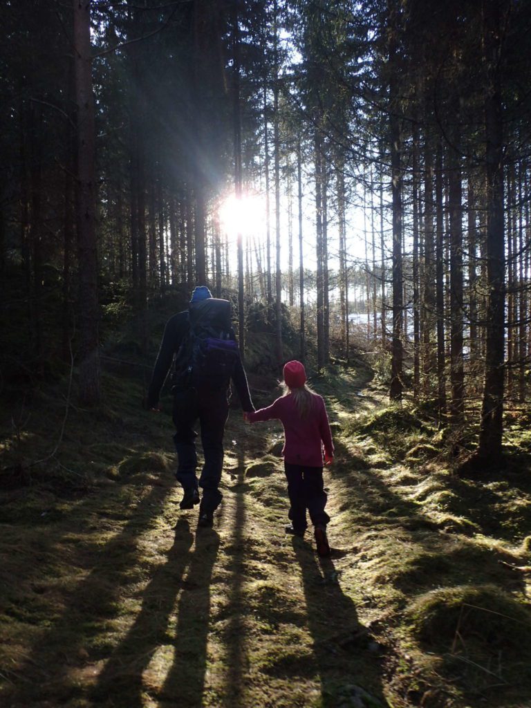 ØNSKER FLERE TURLEDERE: Hamar og Hedemarken Turistforening inviterer til aktivitetslederkurs. Foto: Torill Fjeldstad Grande.