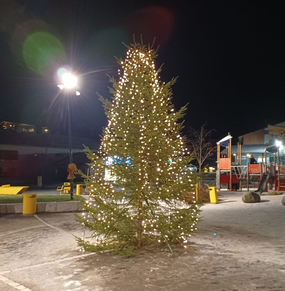 JULEGRANA: Denne flotte julegrana med sine lys står til pynt på lekeplassen. FOTO: Line Larsen