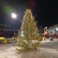 JULEGRANA: Denne flotte julegrana med sine lys står til pynt på lekeplassen. FOTO: Line Larsen