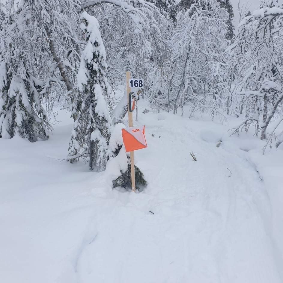 FINE LØYPER: Løypene som er kjørt klare til Norgescup og hovedløp er fine i år, og har fått skryt for plassering i området. FOTO: Vang OL