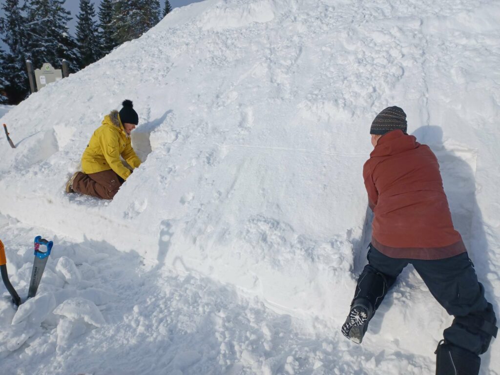 EN STOR SNØSKAVLE: Linda og Nina hadde 100 kubikk med snø tilgjengelig, og viser her hvordan man kan skjære med vaier i snø. FOTO: Line Larsen