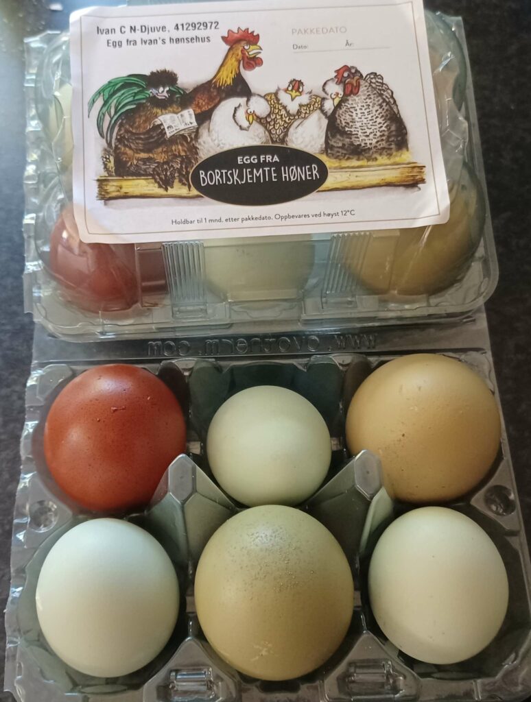 EGG I ALLE FARGER: Egg blir like ulike som hønene er, men smaken får mye skryt fra kunder. FOTO: Line Larsen