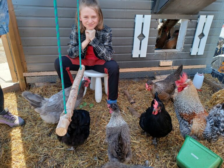 IVAN´S HØNER OG TO HANER: Inne i sitt selvdesignete hønsehus, trives både eier og fjærkre godt. Når sola skinner er det tid for luftetur i det fri. FOTO: Line Larsen