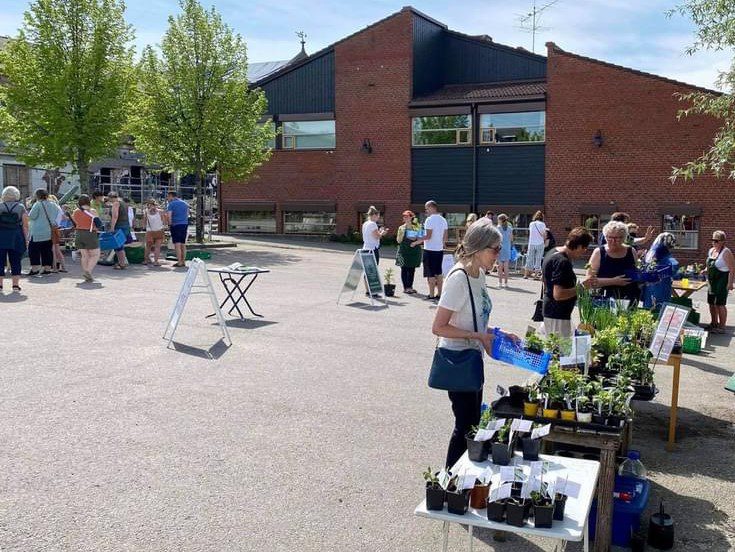 FIN BELIGGENHET FOR MARKED: Utsalg fra parkeringsplassen ved banken, gjør at kunder kan parkere egne biler nært, og får fraktet plantene trygt hjem. FOTO: Privat