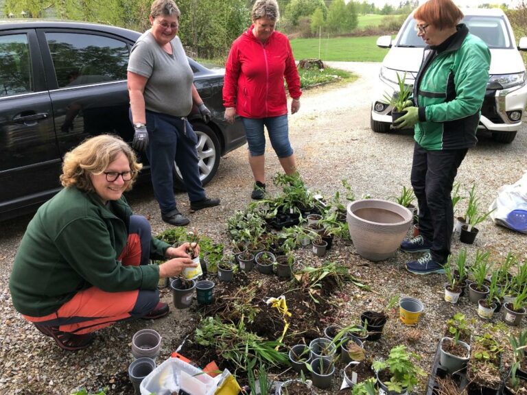 GJØR SEG KLARE TIL PLANTEMARKED: Anne-Lise Jensen, Lillian Rygg, Aina S. Stenberg og Turid N.Opsahl liker hagearbeid godt. Årets resultat kan du handle fra, på plantemarked 11. juni. FOTO: Privat