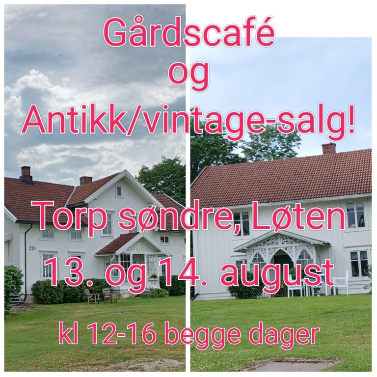 TORP SØNDRE: Gårdscafé, Antikk og Vintagesalg, med allsang og servering.