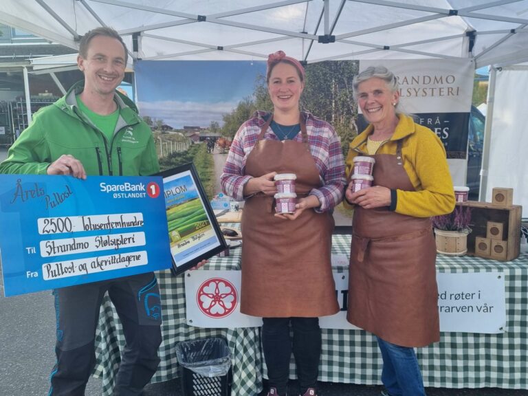 ÅRETS PULTOST: Strandmo Stølsysteri vant i fjor kategorien årets pultost. Foto: Anne Østby.