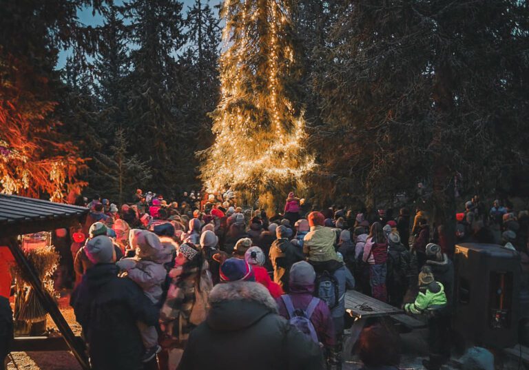 STEMNINGSFULLT: Julemarkedet på Budor avsluttes også i år med julegrantenning i Koiedalen. Det var veldig populært og stemningsfullt i fjor. Foto: Andreas Kokkvoll.