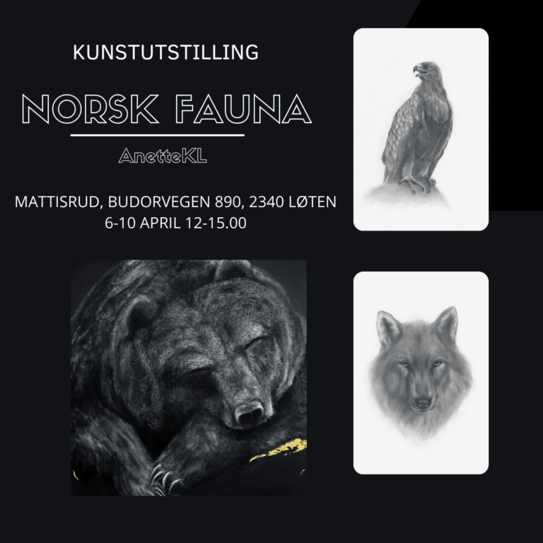 KUNSTUTSTLLING: Kunstner Anette Kørra Lekve kommer til Mattisrud med sine tegninger og malerier i perioden torsdag 6. t.o.m. mandag 10. april. Foto: Privat.