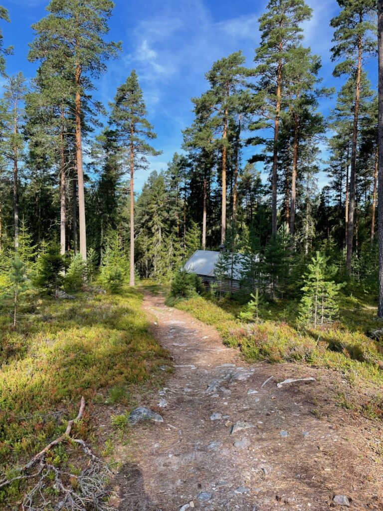 MOSJØMARSJEN: Søndag 4. august er det igjen klart for Mosjømarsjen, den 47. i rekken. Foto: Privat.