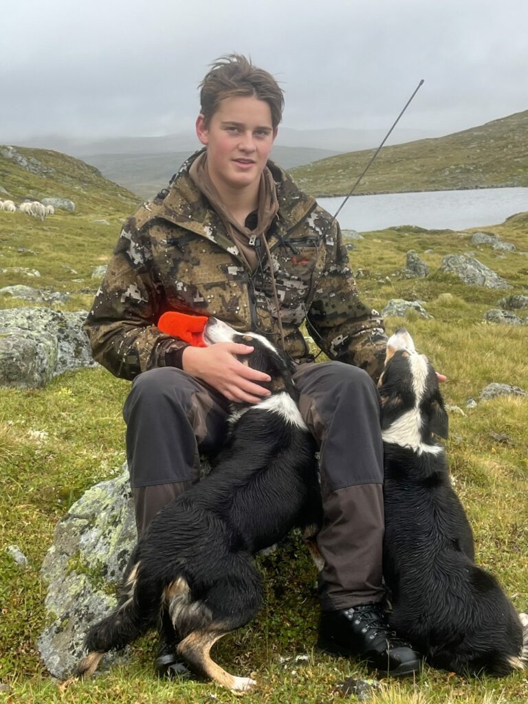 STOLT SAUESANKER: Ivan Alvseike på Hardangervidda for å sanke sau. Foto: Privat