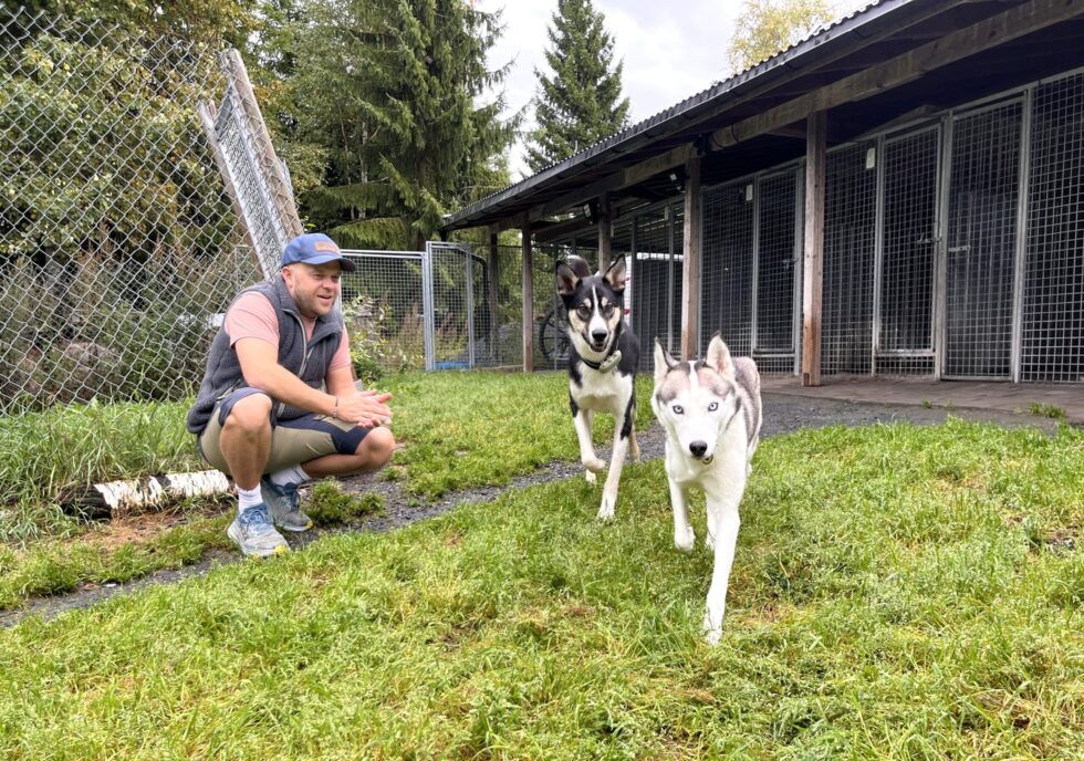 MYE UTE: Marius Nordholm driver både Nordvang HUndepensjonat og hundebarnehage. Her med to av "barnehagebarna", huskyene Akela (til venstre) og Siggy.